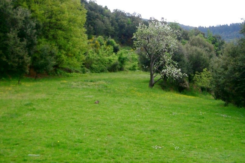 Casa de colònies La Traüna, Fundesplai (Casa De Colonies La Trauna Fundesplai)