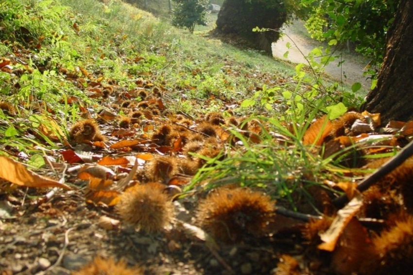 Casa de colònies La Traüna, Fundesplai (Casa De Colonies La Trauna Fundesplai)