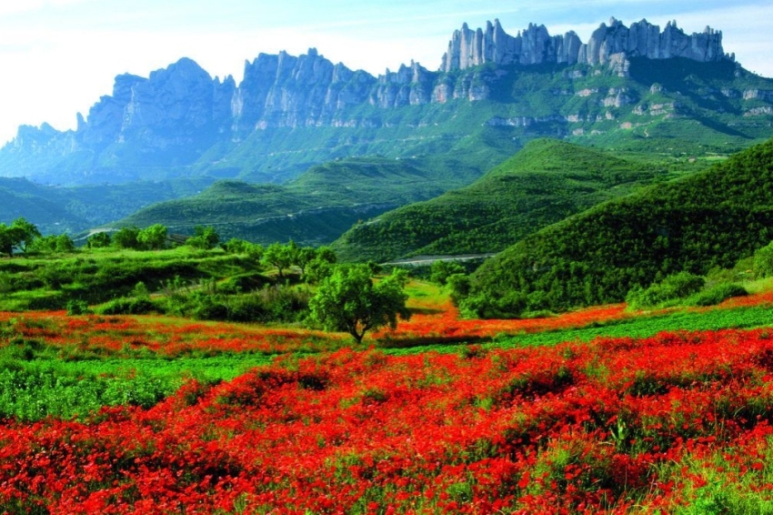 Alberg Viladoms de Baix, Fundesplai (Alberg Viladoms De Baix Fundesplai)