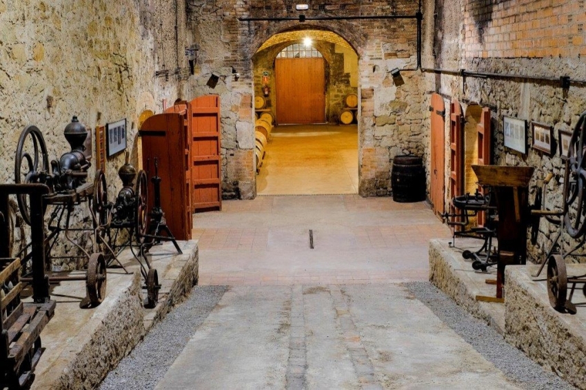 Castell del Remei (Castell Del Remei)