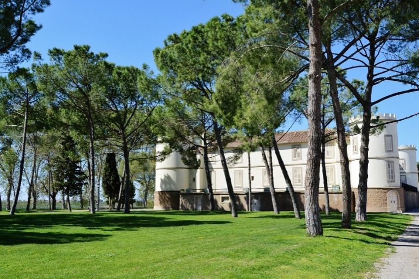 Castell del Remei (Castell Del Remei)