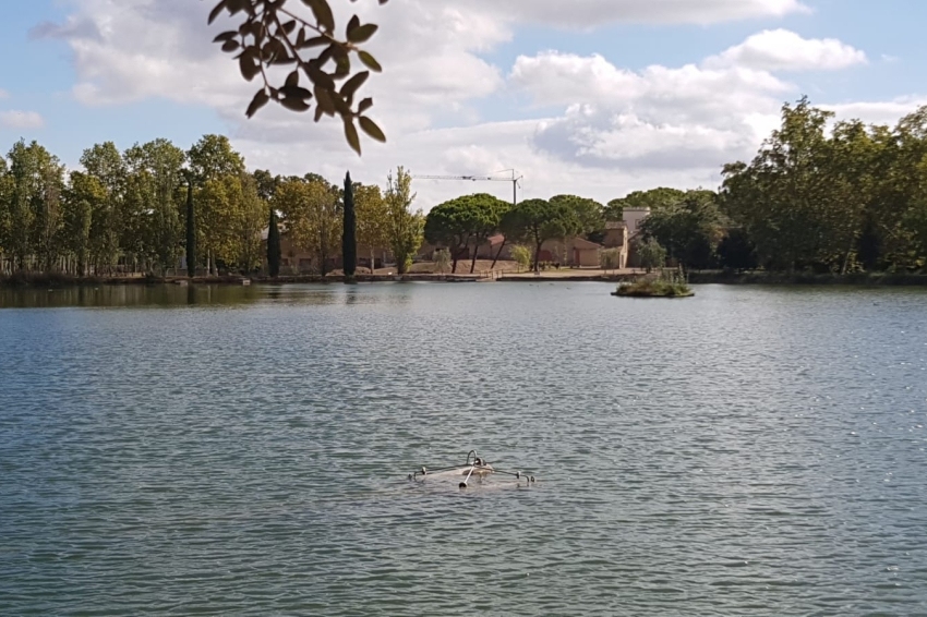 Castell del Remei (Castell Del Remei)