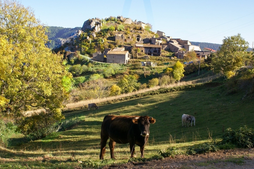 Turisme Alt Urgell (Alt Urgell)