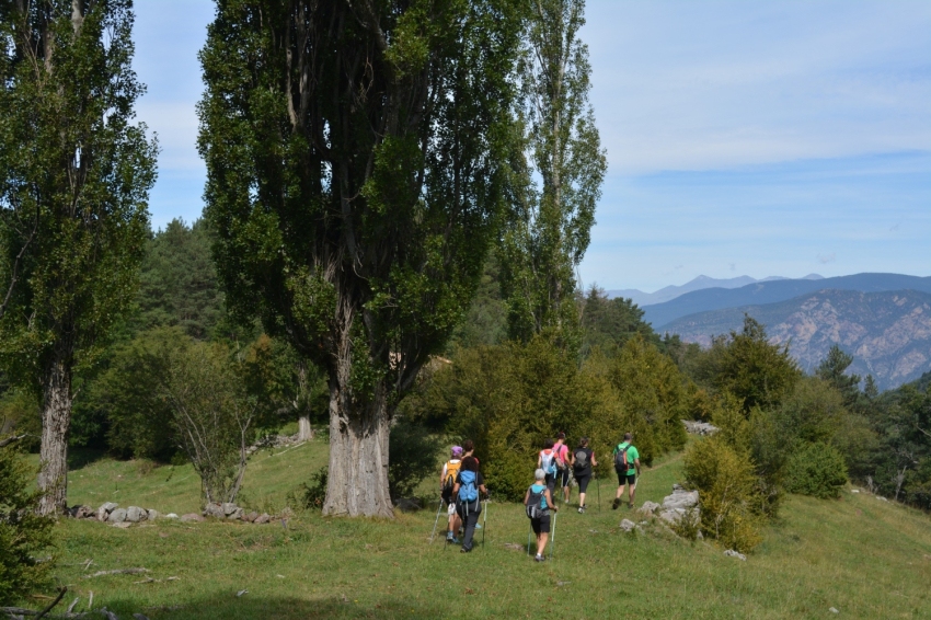 Turisme Alt Urgell (Alt Urgell)