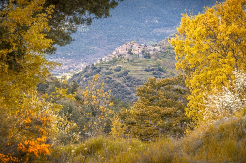 Turisme Alt Urgell (Gallines D Aristot Alt Urgell)