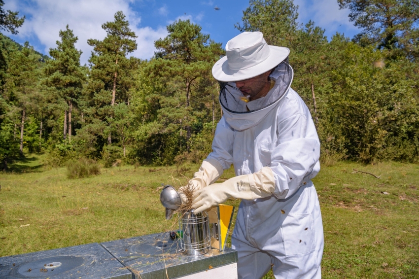 Mel La Caseta, mel artesanal al Berguedà (Mel La Caseta 002)