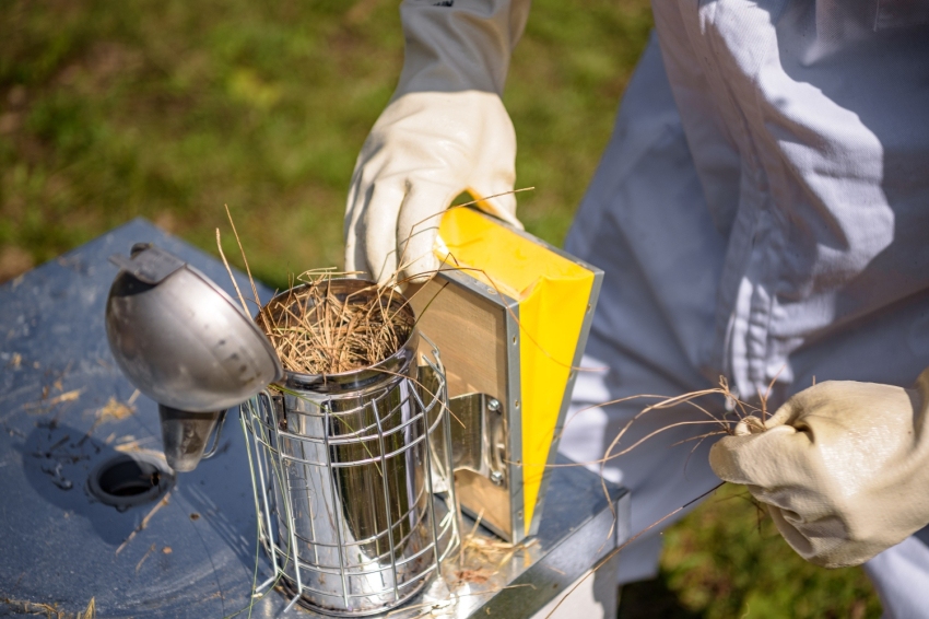 Mel La Caseta, mel artesanal al Berguedà (Mel La Caseta 003)