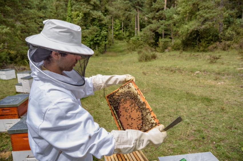 Mel La Caseta, mel artesanal al Berguedà (Mel La Caseta 023)