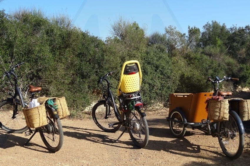 Ocitània (Ocitania)