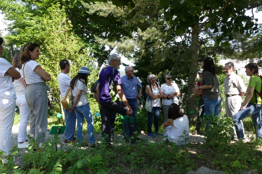 Jardí Botànic de Gombrèn (Jardi Botanic De Gombren)