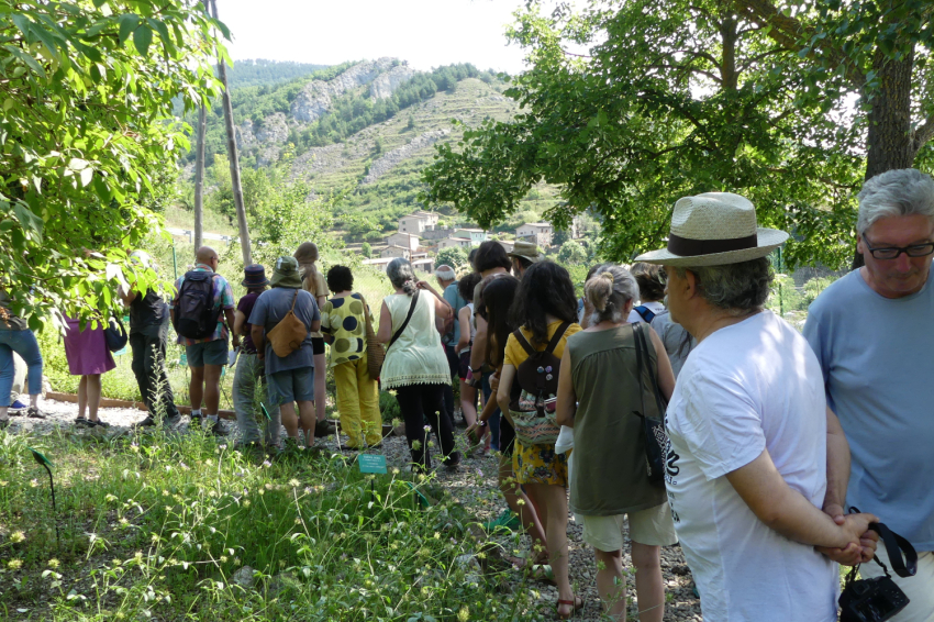 Jardí Botànic de Gombrèn (Jardi Botanic De Gombren)