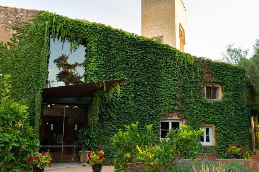 Mas La Boella (Mas La Boella)