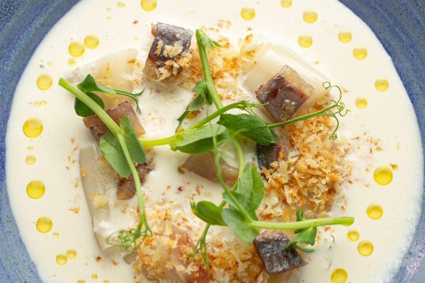 Taverna ümet (Tavena Umet Sabadell 05)