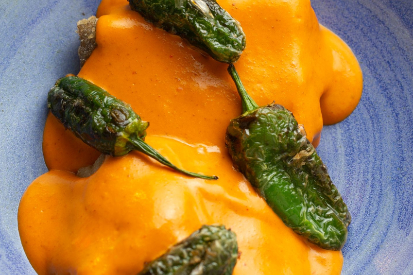 Taverna ümet (Tavena Umet Sabadell 06)