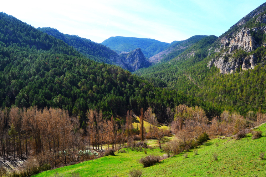 Centre cultural Espai La Vansa (La Vall De La Vansa1)