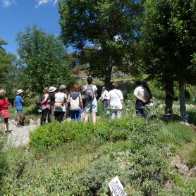 Jardí Botànic de Gombrèn