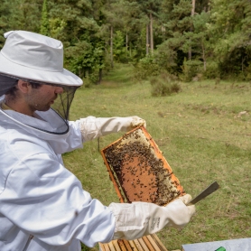 Mel La Caseta, mel artesanal al Berguedà