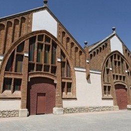 DO Conca de Barberà: vins amb història al cor de Catalunya