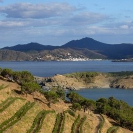DO Empordà: vins amb caràcter entre mar i muntanya