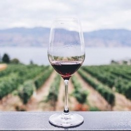 DO Penedès: vins blancs i escumosos amb identitat pròpia