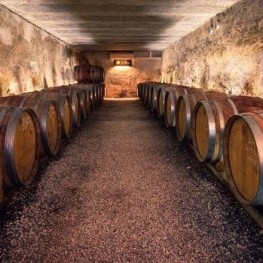 DO Tarragona: vins mediterranis amb història i tradició viva