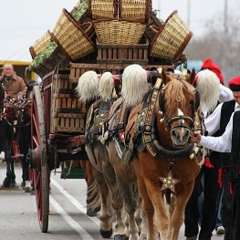 Festes de Sant Antoni Abat i dels Tres Tombs 2026
