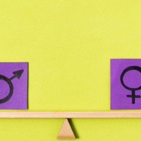 Municipis de Catalunya amb el distintiu per la Igualtat de Gènere,&#8230;