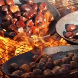 Propuestas para disfrutar de la Castañada 2025