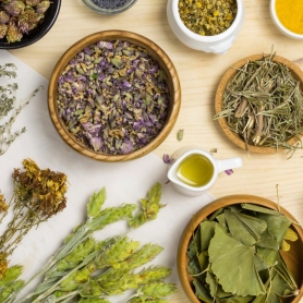 Sant Ponç i les seves celebracions a Catalunya