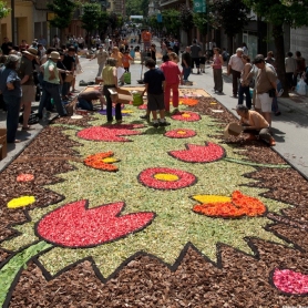 Experience the Enramades: the splendor of the Flower Carpets&#8230;