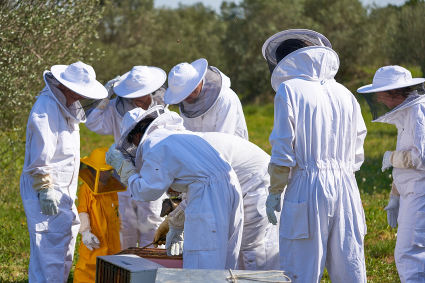 Apicultores por un día, Abellaires Empordaneses (_ism1427)