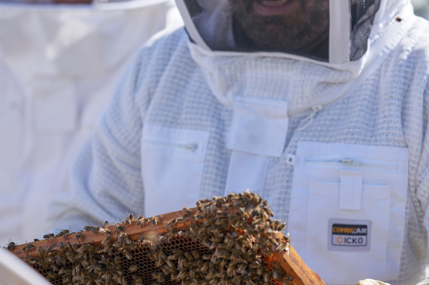 Apicultores por un día, Abellaires Empordaneses (_ism1379)
