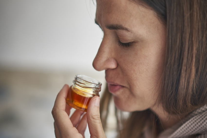 Apicultores por un día, Abellaires Empordaneses (_ism1502)