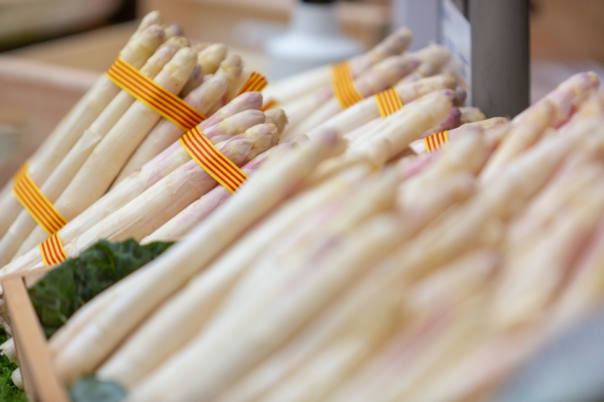 Foires, festivals et événements dans le Baix Llobregat (_h4b1089 1)