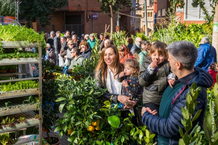 Foires, festivals et événements dans le Baix Llobregat (_orp9634 Copia)