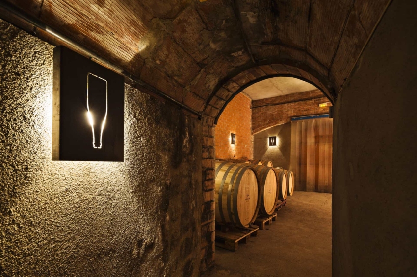 Visitez Vins el Cep (Interior Celler)