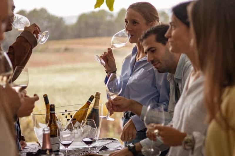 Brunch al Celler de Vins El Cep (Gent Bevent Sota Les Moreres)