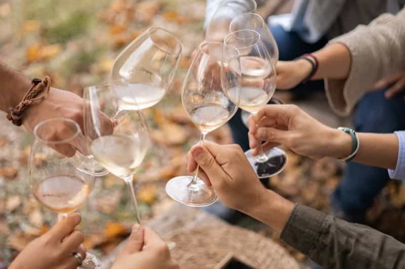 Brunch al Celler de Vins El Cep (Grup Brindant Sota Les Moreres)