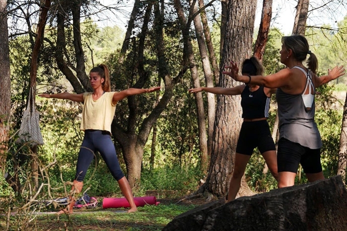 Ioga i tast entre vinyes amb Vins el Cep (Detall Bosc Ioga)