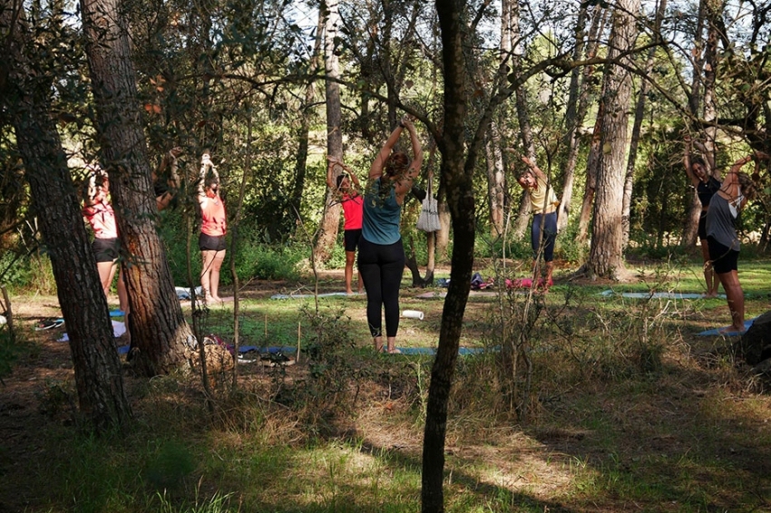 Ioga i tast entre vinyes amb Vins el Cep (Detall Grup Al Bosquet)