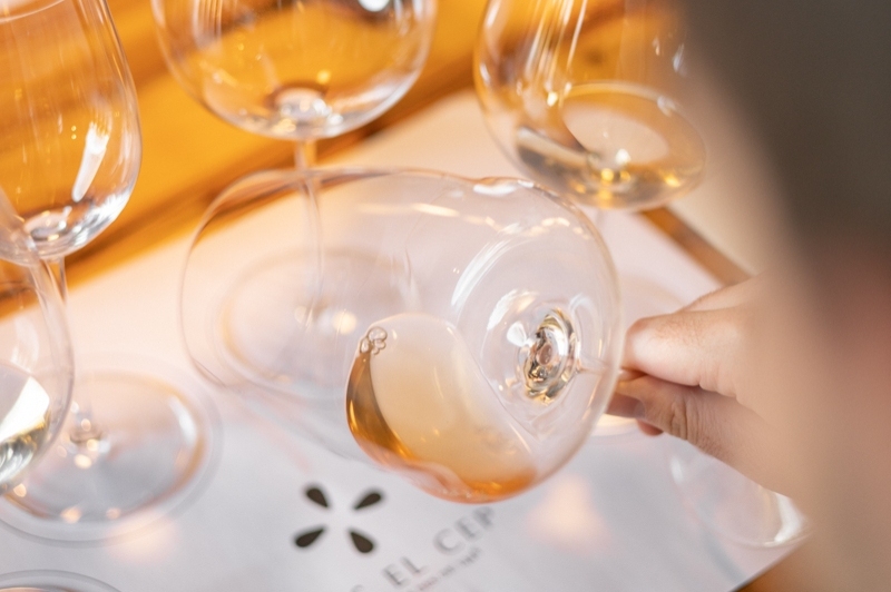 6 xarelos au Vins el Cep (Copa Per Mirar Color Vi)