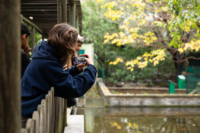 Visita el CRARC, Masquefa (1v7a7525)
