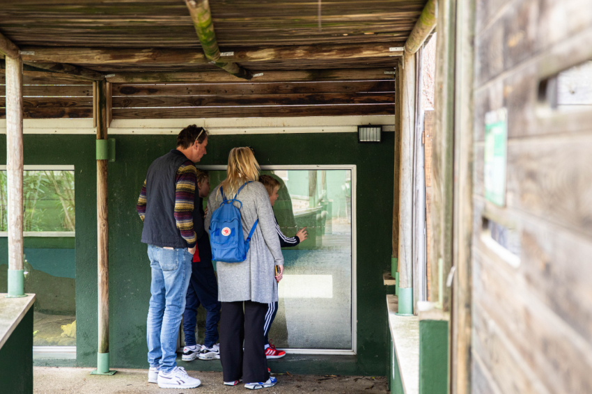 Visita el CRARC, Masquefa (1v7a7629)