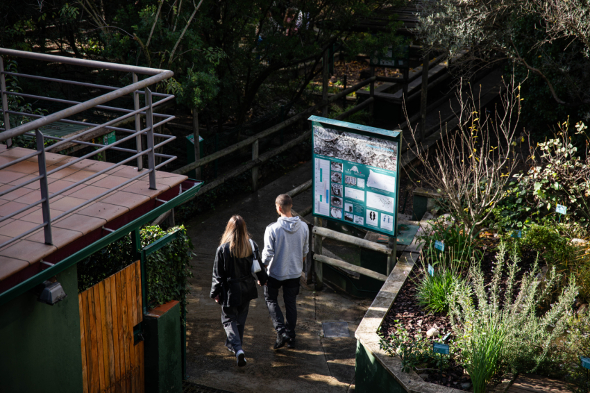 Visita el CRARC, Masquefa (1v7a7727)