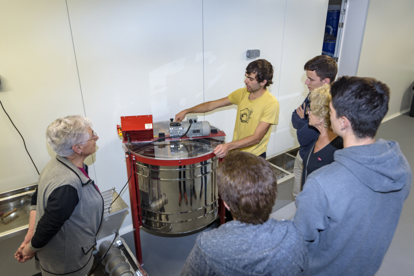 ¡Sé apicultor por un día! - Mel La Caseta (_dsc2359_jpg_alta)