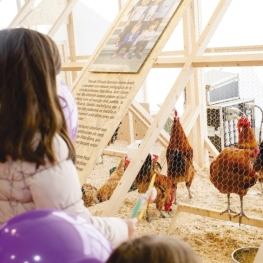 Fires, festes i esdeveniments al Baix Llobregat