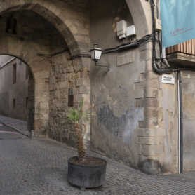 Visita guiada: Igualada Medieval