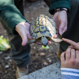 Visita el CRARC, Masquefa