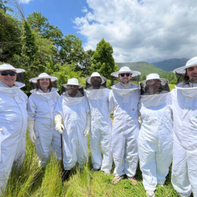 Be a beekeeper for a day! - Mel La Caseta