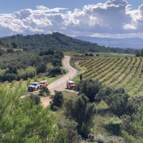 Ruta en 4x4 descapotable i tast de vins amb Stress & Adrenalina